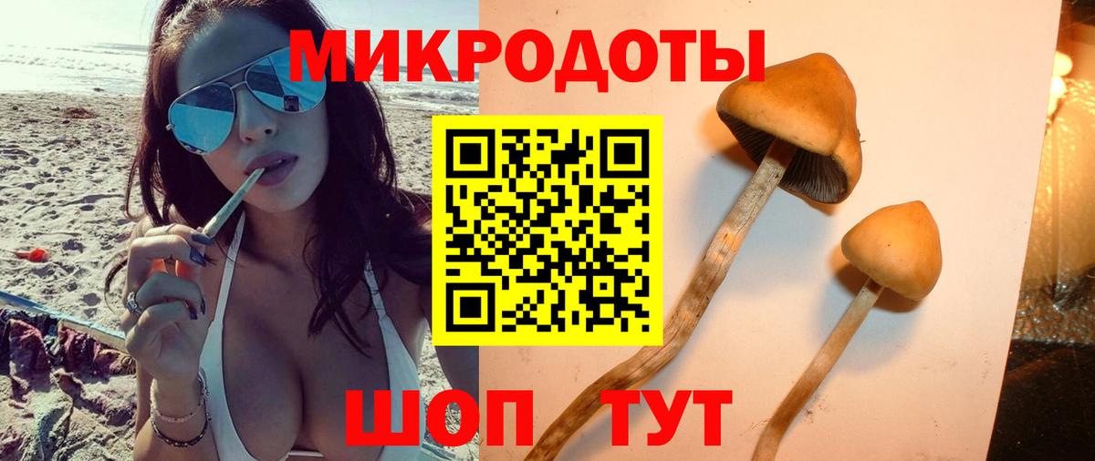 Псилоцибиновые грибы Psilocybine cubensis Лиски