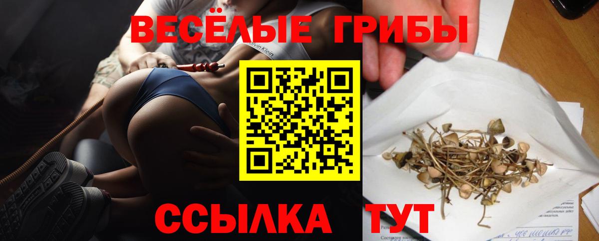 Галлюциногенные грибы Psilocybe  Вход с VPN  Псилоцибиновые грибы прущие грибы  Лиски 